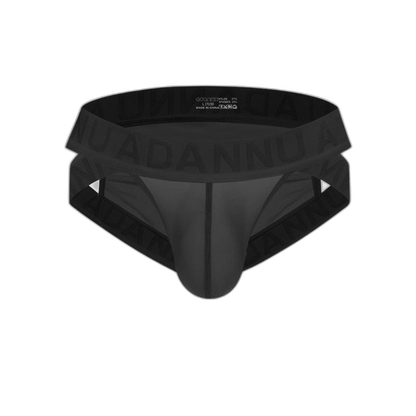 Sheer Mesh Brief