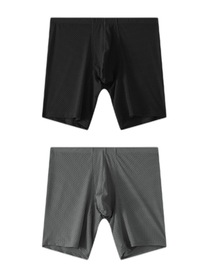 2 Pack Men's Mesh Transparent Sports Fitness Loose Boxer Briefs