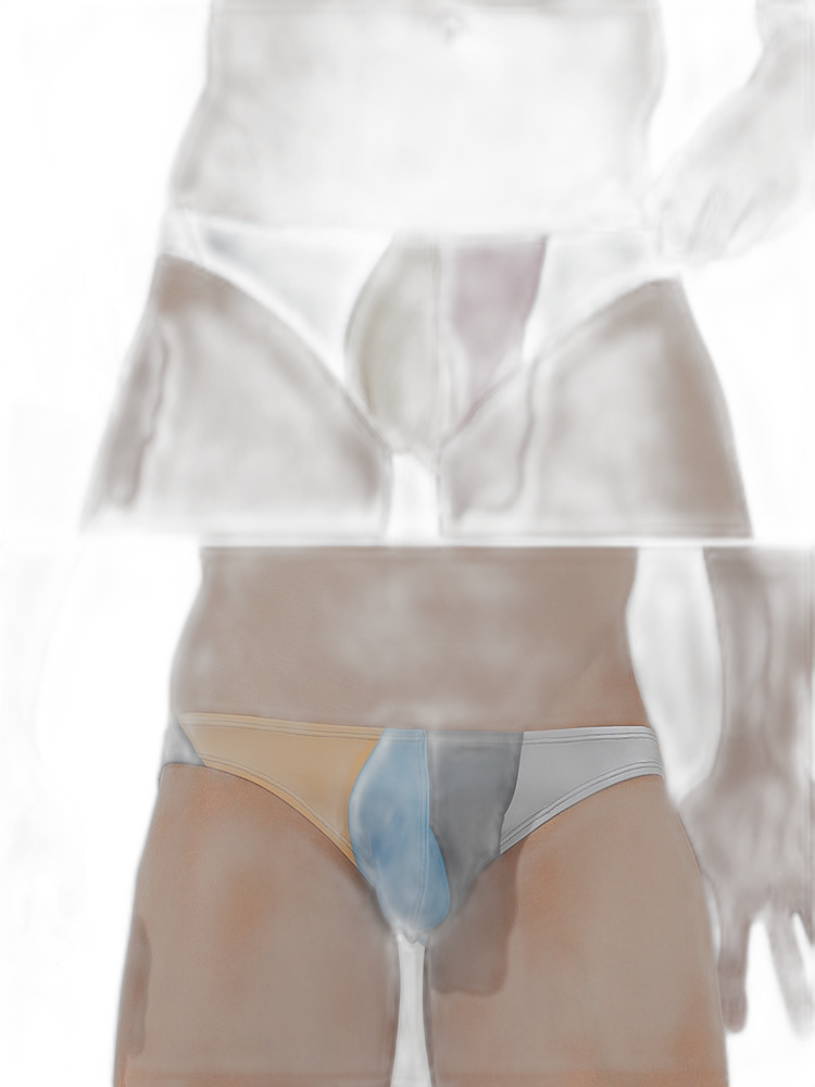 2 Pack Men's Low-Rise Color-Blocking Bikini