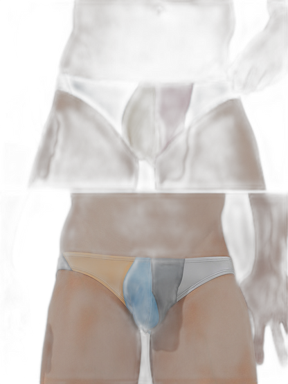 2 Pack Men's Low-Rise Color-Blocking Bikini