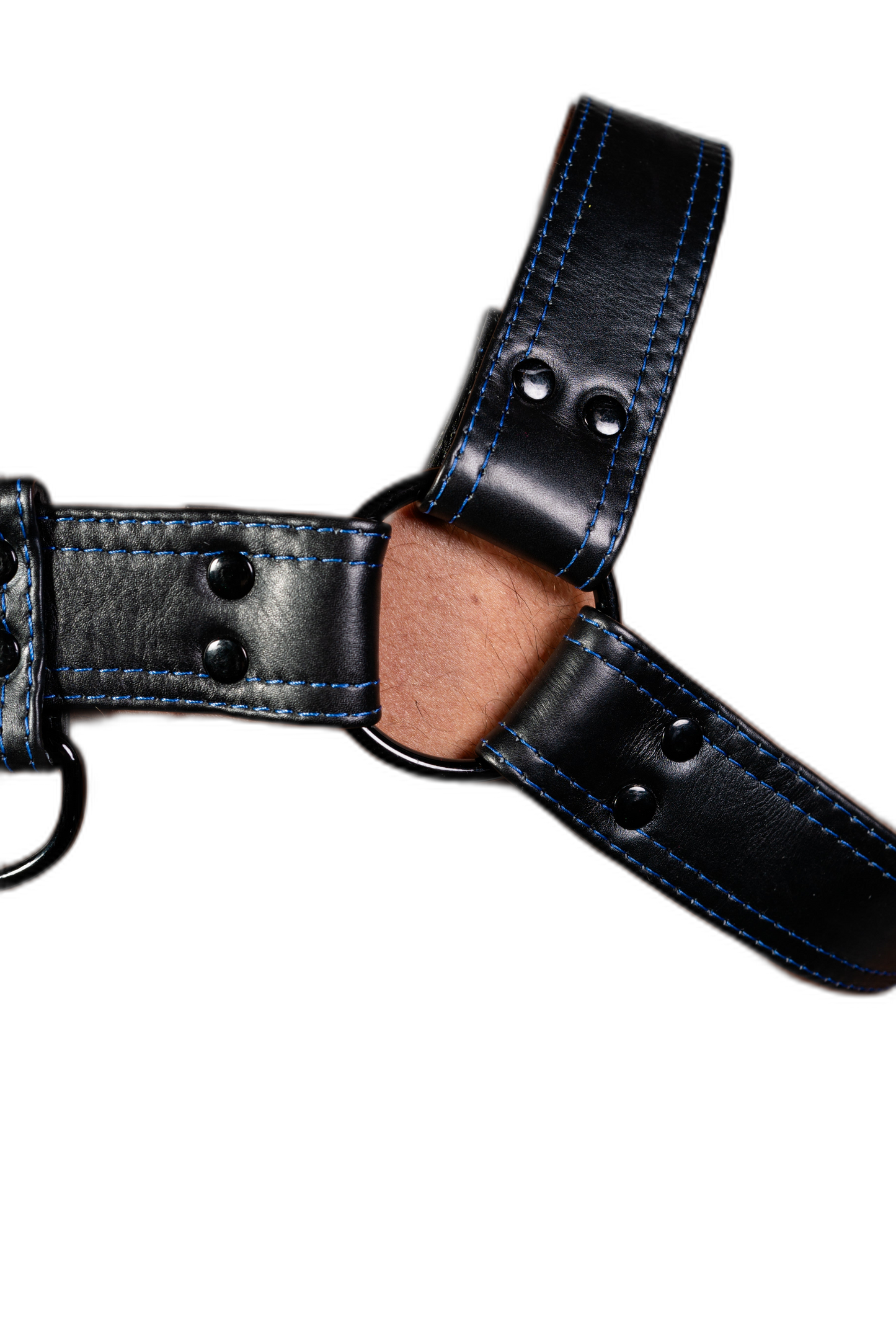 ruff GEAR RAW  Leather Bulldog Harness Black Royal