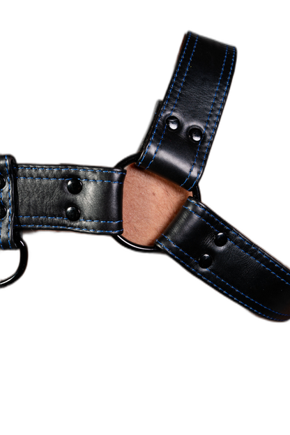 ruff GEAR RAW  Leather Bulldog Harness Black Royal
