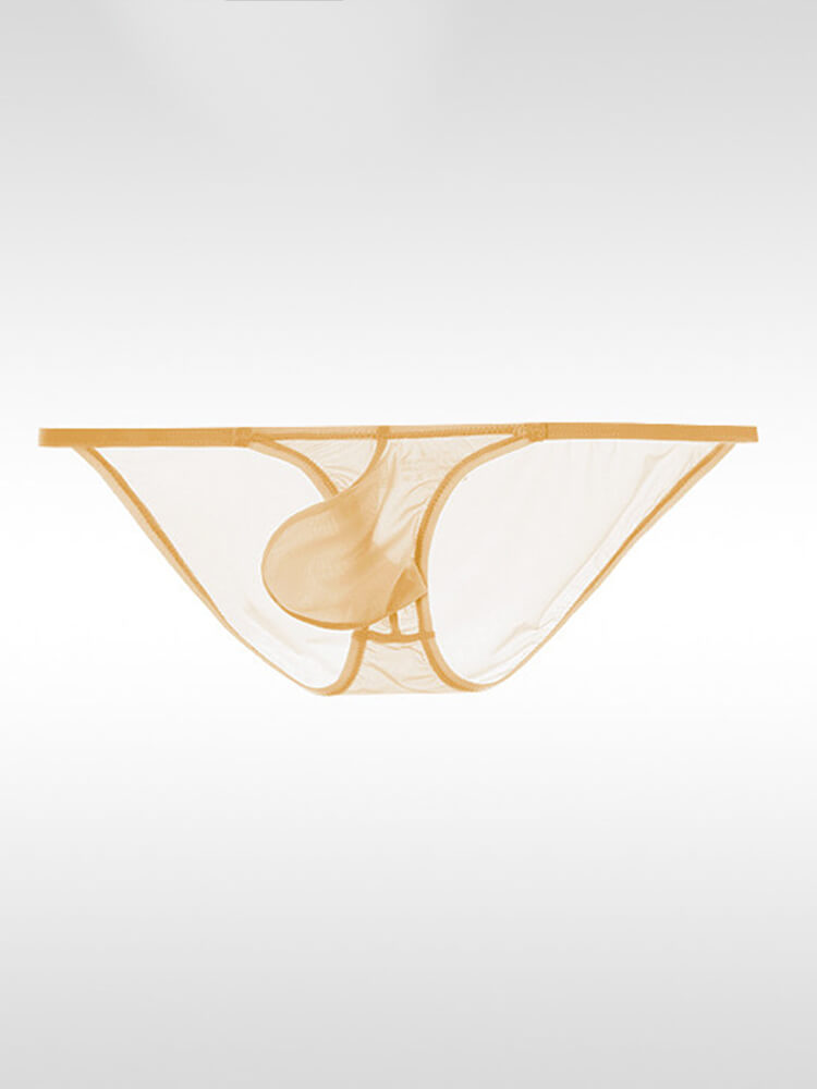 Men's Sexy Sheer Low-Rise Pouch Ultra-Thin Briefs