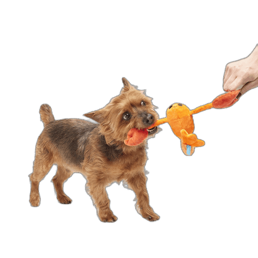 Bark Della Crawfish Dog Toy