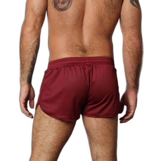 Varsity 13 Mesh Shorts