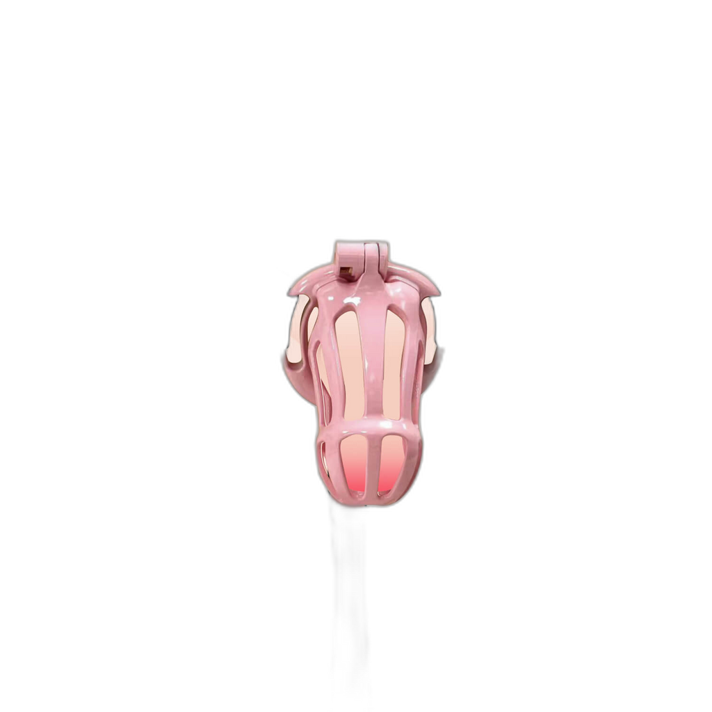 Damian - Chastity Cage With Belt