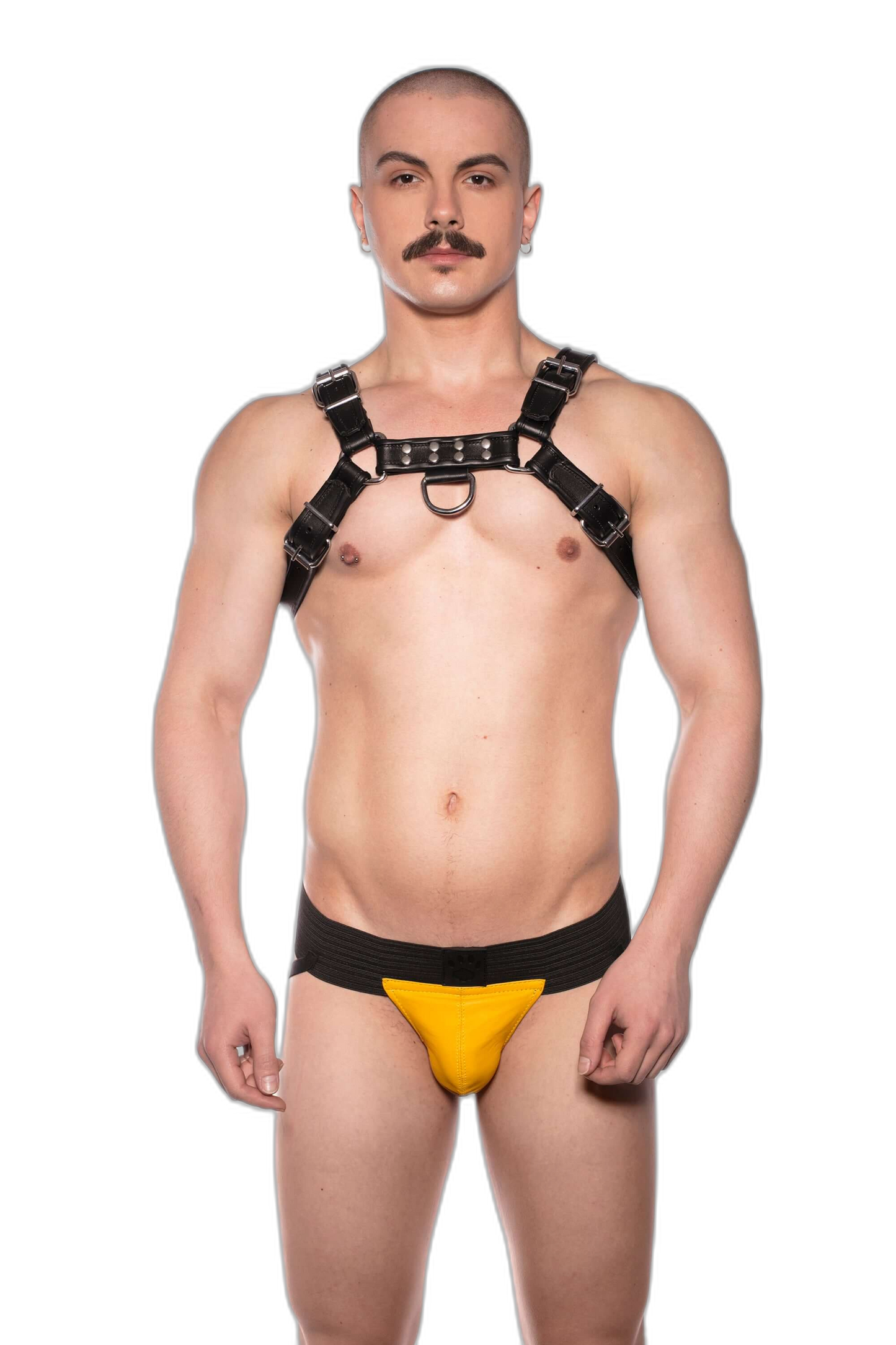 Prowler RED Leather Bull Harness Black