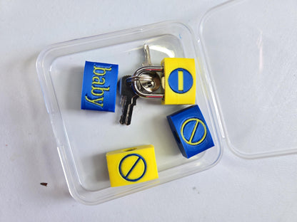 Small Padlock & Cover – Custom Kink Collar Lock, Keyed Alike Options, Glow & Pride Styles