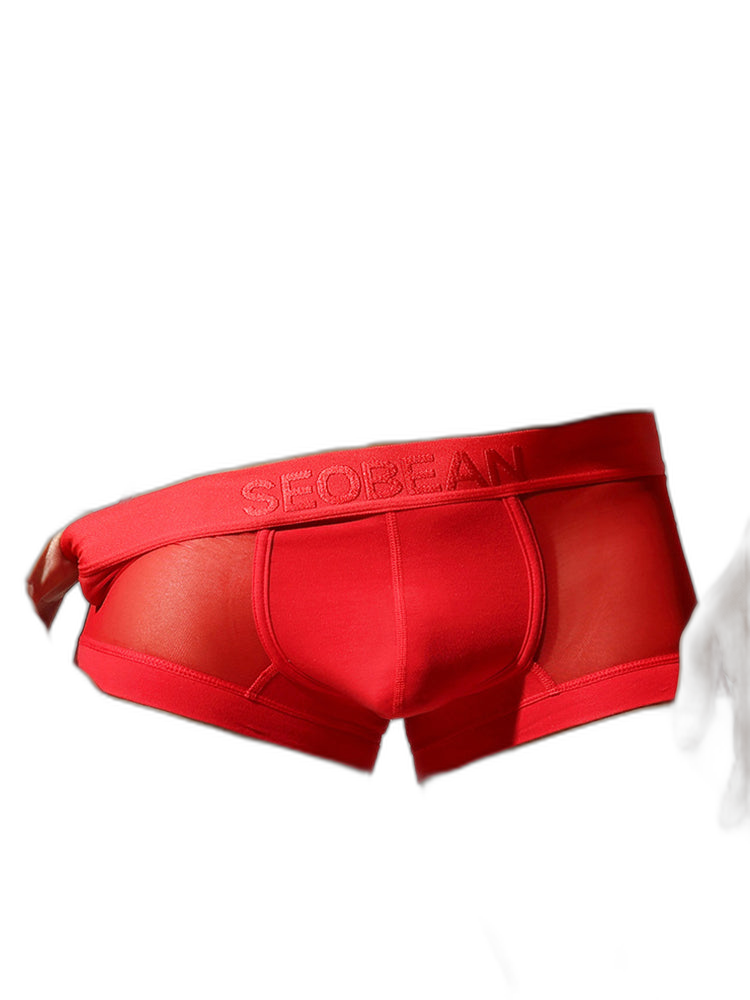 2 Pack Men's Stay-Put Fit Lightweight & Airy Solid Color Semi-Transparent Trunks