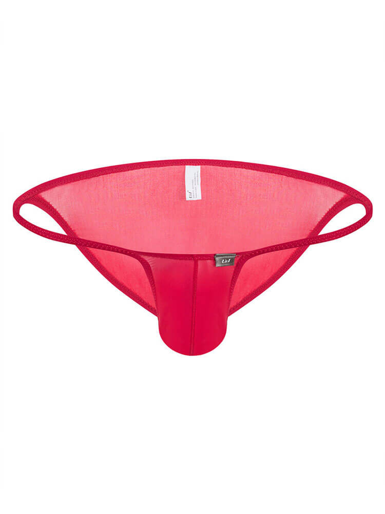 Men's Sexy Slightly Sheer Ice Silk Low-Rise Briefs