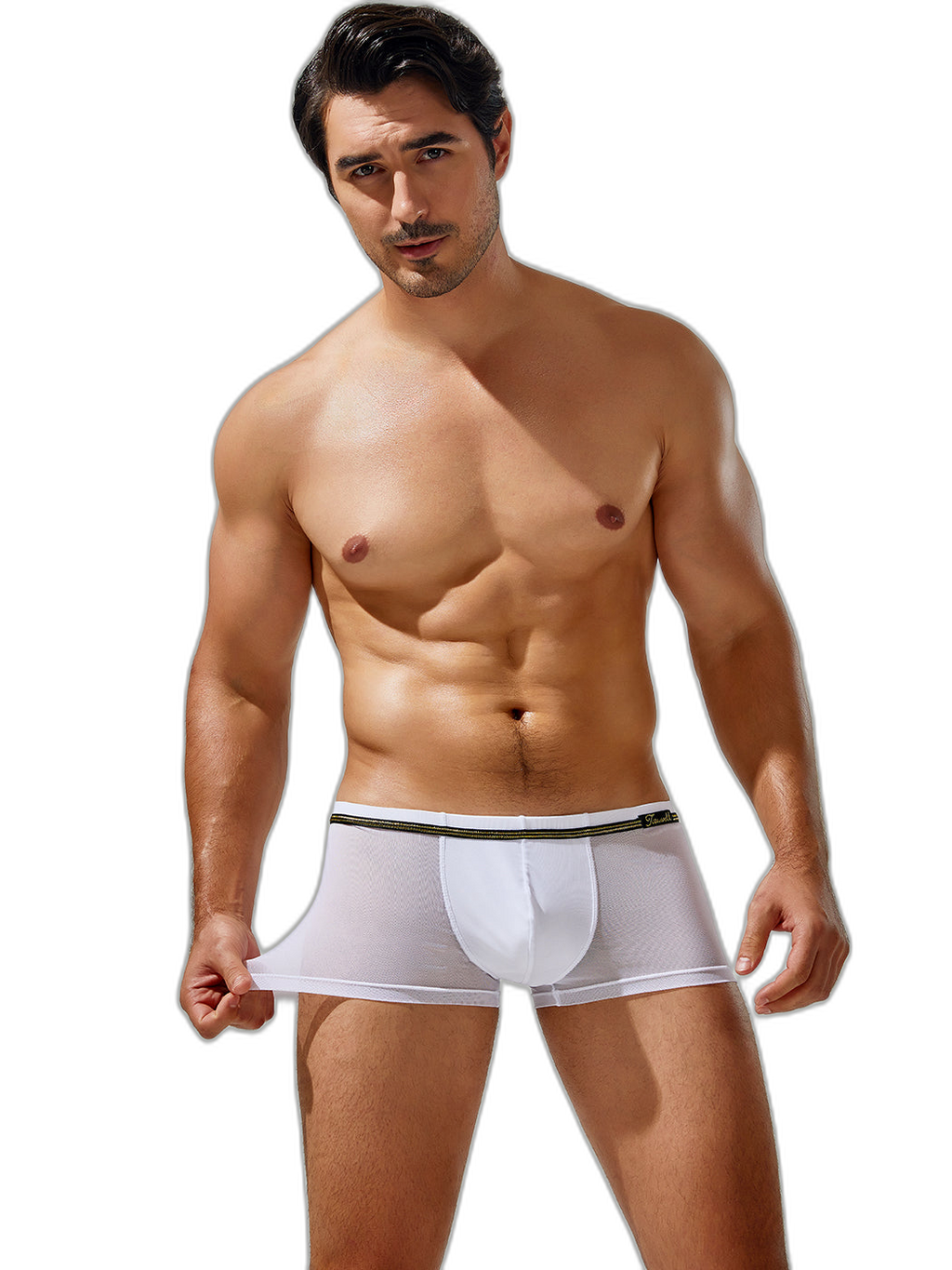 Men's Sexy Low-rise Mesh Trunks