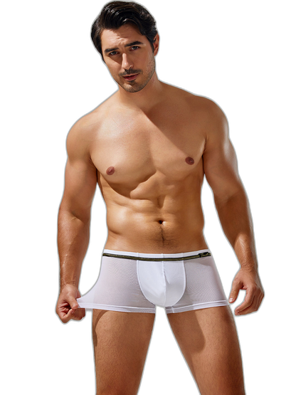Men's Sexy Low-rise Mesh Trunks