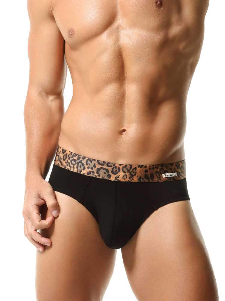 Men's Sexy Leopard Print Panels Cotton Briefs