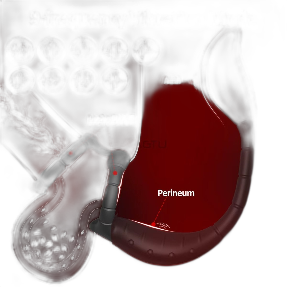 Prostate Massager Cock Ring