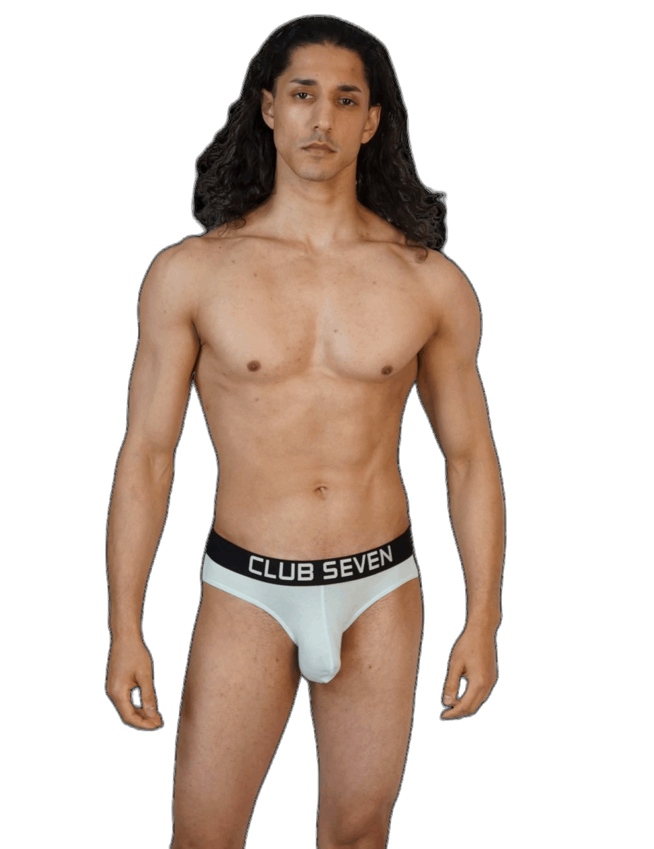 Oxidised Briefs Teal