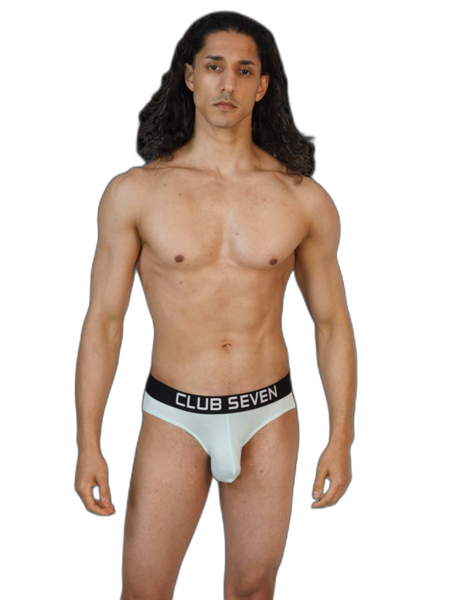 Oxidised Briefs Teal