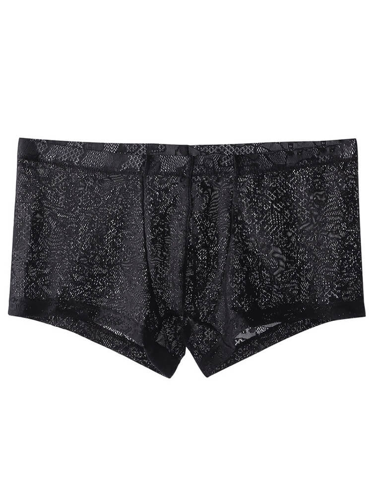 Men's Low-Rise Sexy Lace See-Through Boxer Briefs