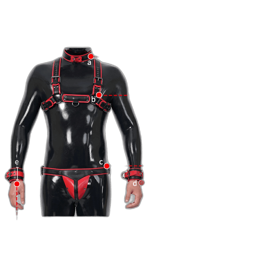 Furrjoi Harness, Cuff, Collar, Lead Underwear Bundle Blue