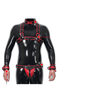 Furrjoi Harness, Cuff, Collar, Lead Underwear Bundle Black