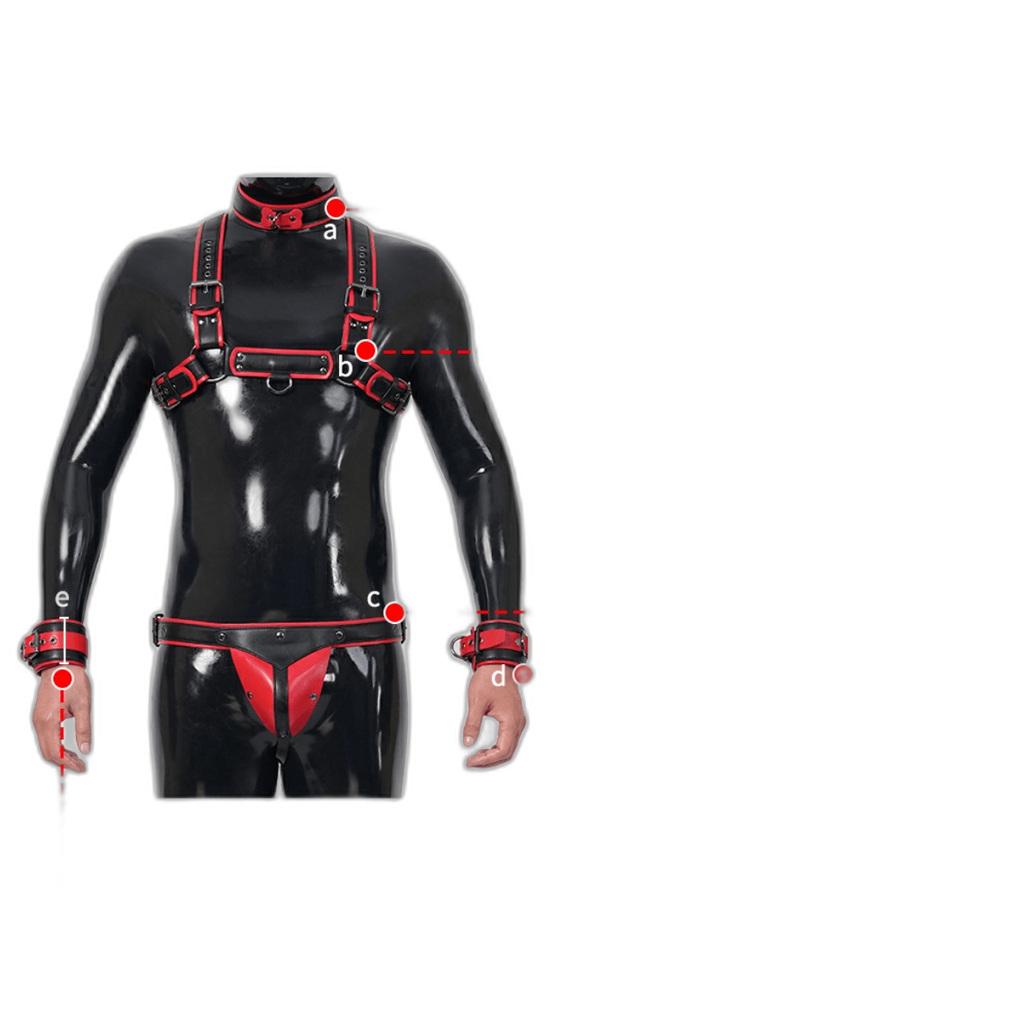Furrjoi Harness, Cuff, Collar, Lead Underwear Bundle Black