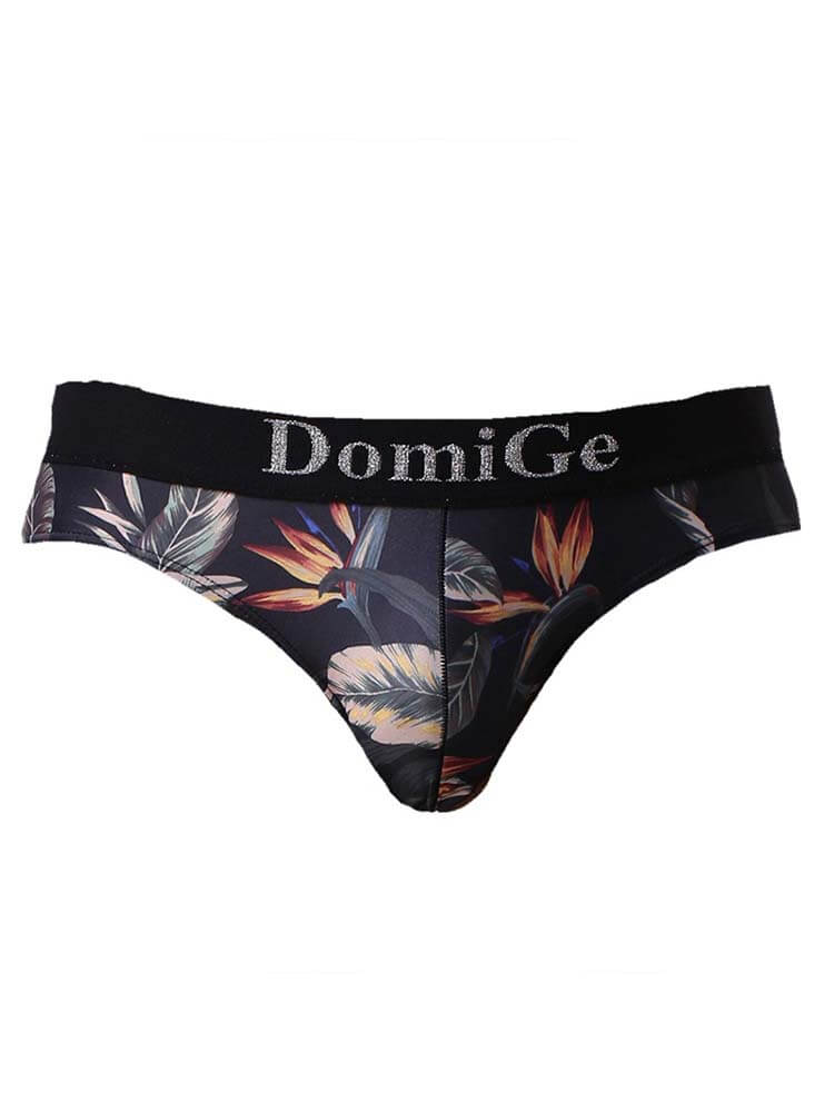 Men's Sexy Personalized Printed Ice Silk Briefs