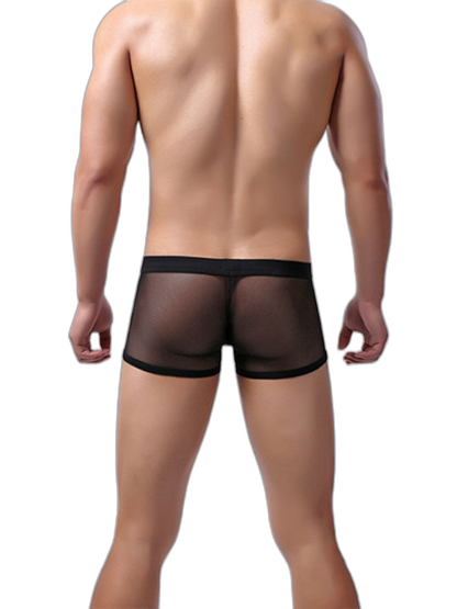 Men's Sexy Transparent Mesh Trunks