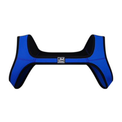 Shoulder Harness