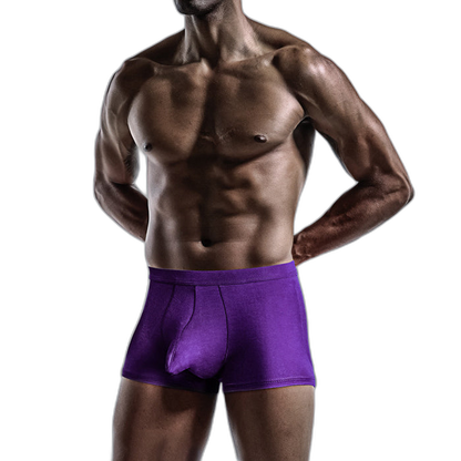 4 Pack Modal Separate Pouch Men's Underwear