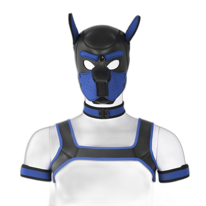 Beta Puppy Play Set - Pup Hood & BDSM Collar & Chest Harness