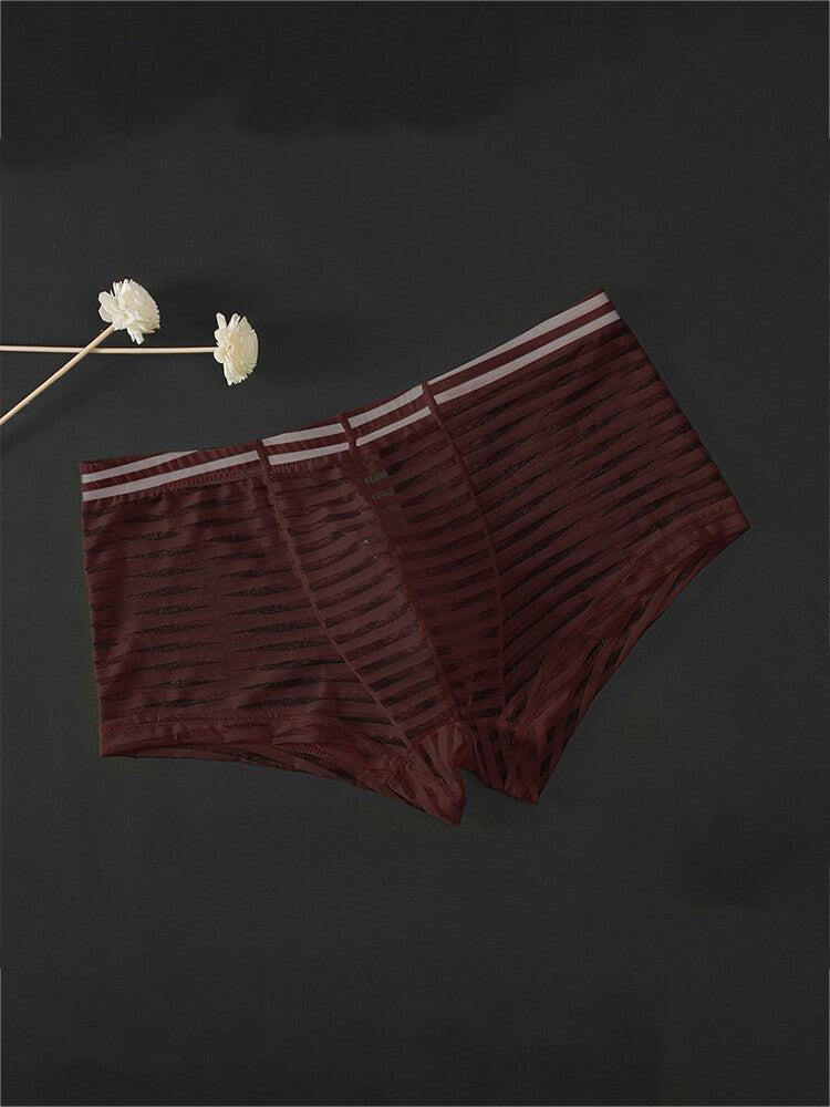 Men's Sexy Mesh Transparent Striped Boxer Briefs