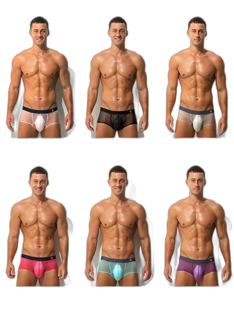 Men's Transparent Sexy Ice Silk Seamless Boxer Briefs