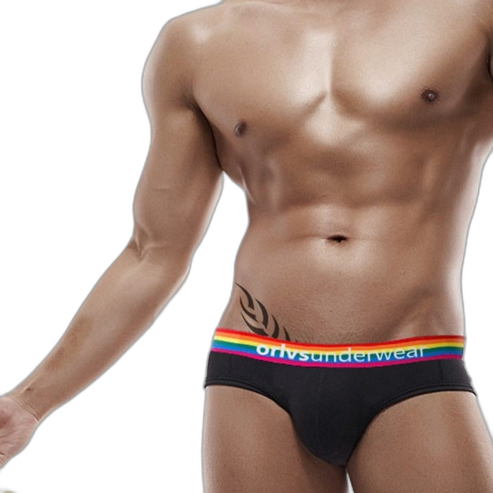ORLVS Pride Briefs