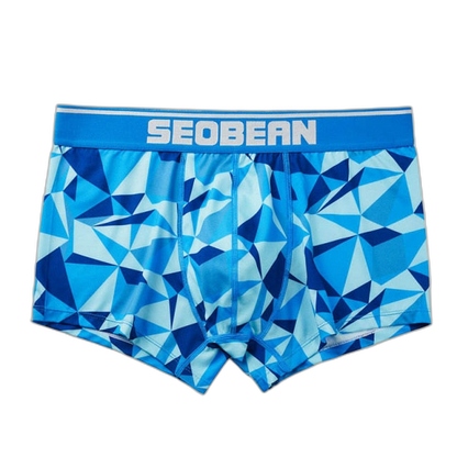 Seobean Geometric Boxers