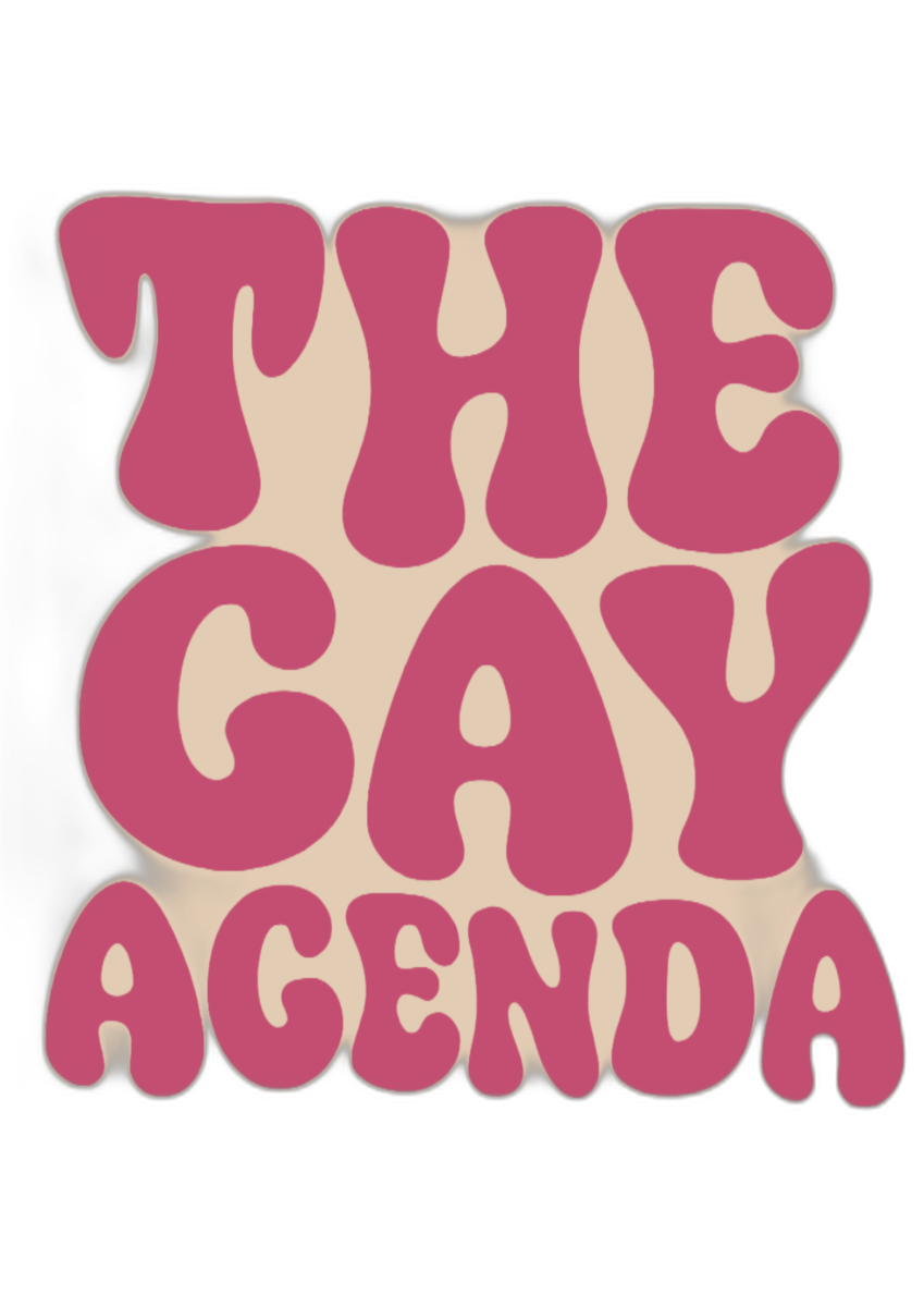 The Gay Agenda Print