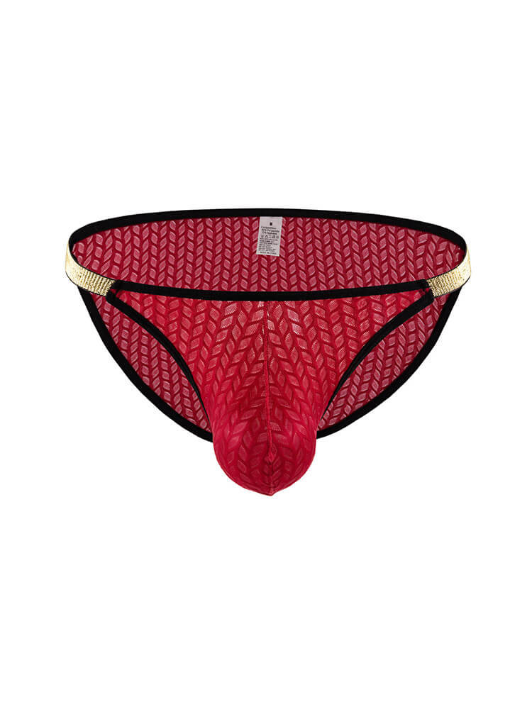Men's Sexy High-Cut Low-Rise Mesh Nylon Briefs