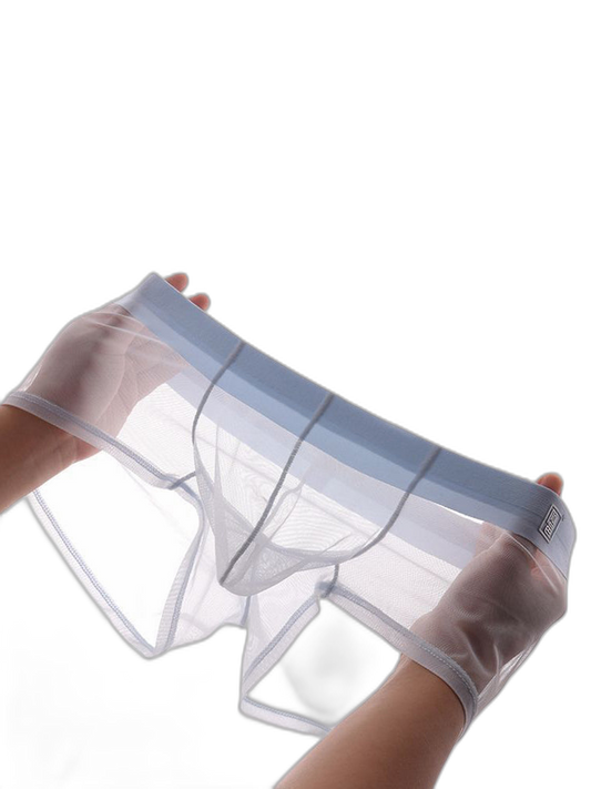 Men's Ultra-thin Low-Rise See-Through Ice Silk Briefs