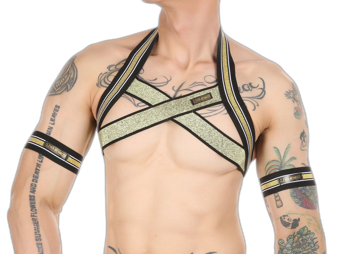 Gold Glitter Harness