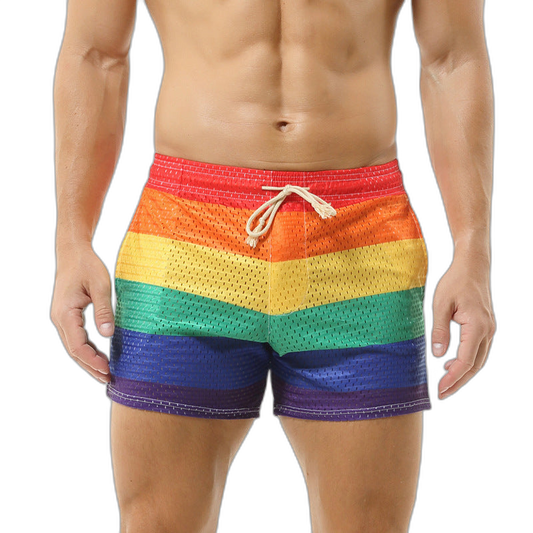 Rainbow Mesh Shorts