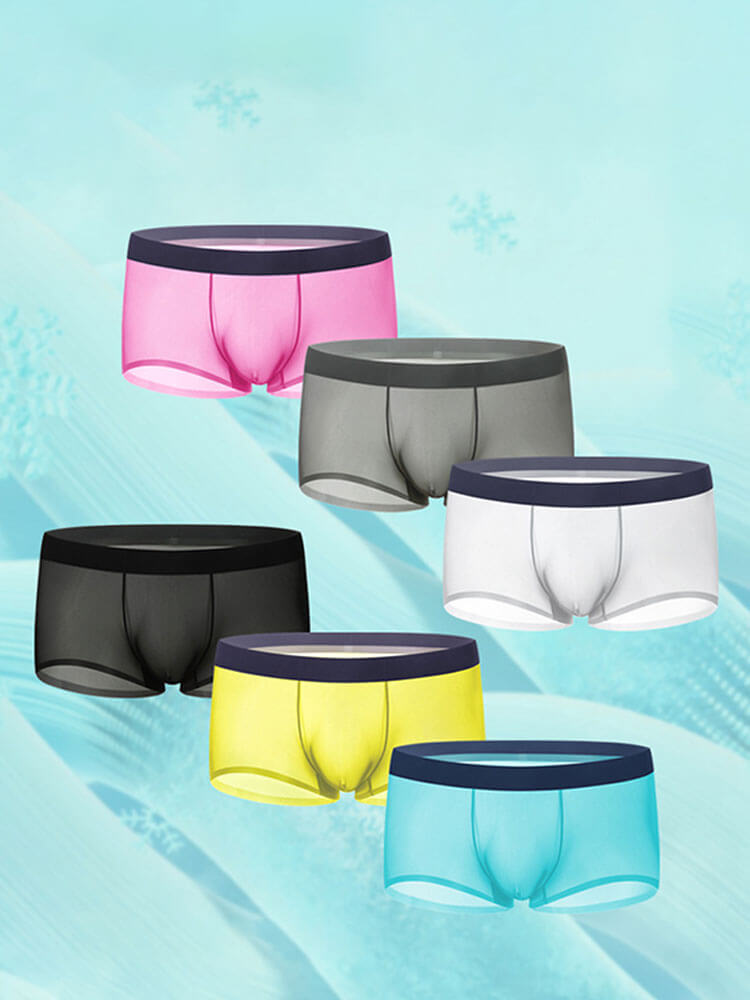 Men's Sheer Ice Silk Thin Pouch Boxer Briefs