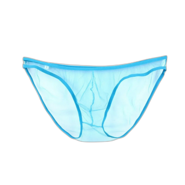 Caught In The Act Men's Mesh Briefs