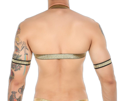 Gold Glitter Harness