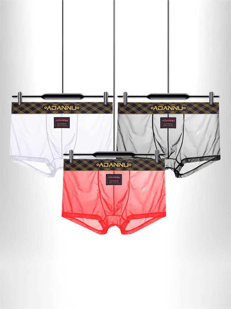 Men's Embroidered Sexy Sheer Sports Thin Boxer Briefs