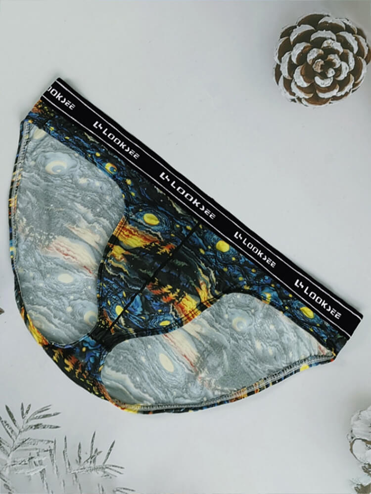 Men's Sexy Oil Painting Print Mid-Rise Briefs