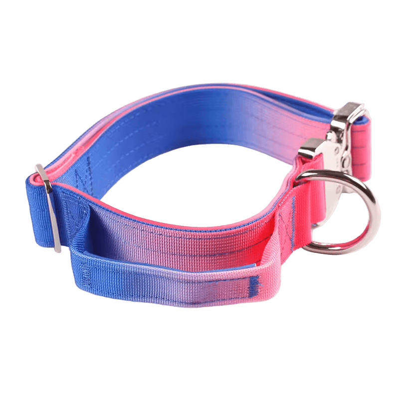 Heavy Duty Gradient Collar Blue/Pink