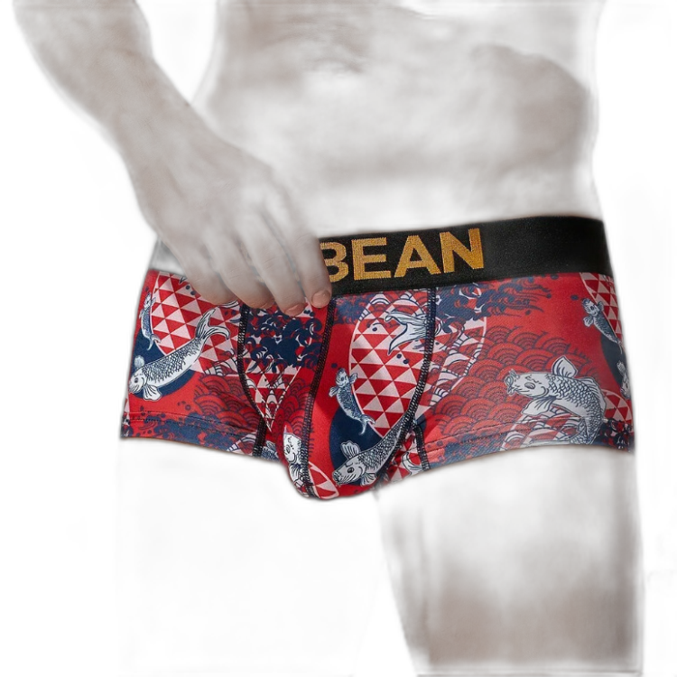 SEOBEAN Festive Fish Boxer Briefs