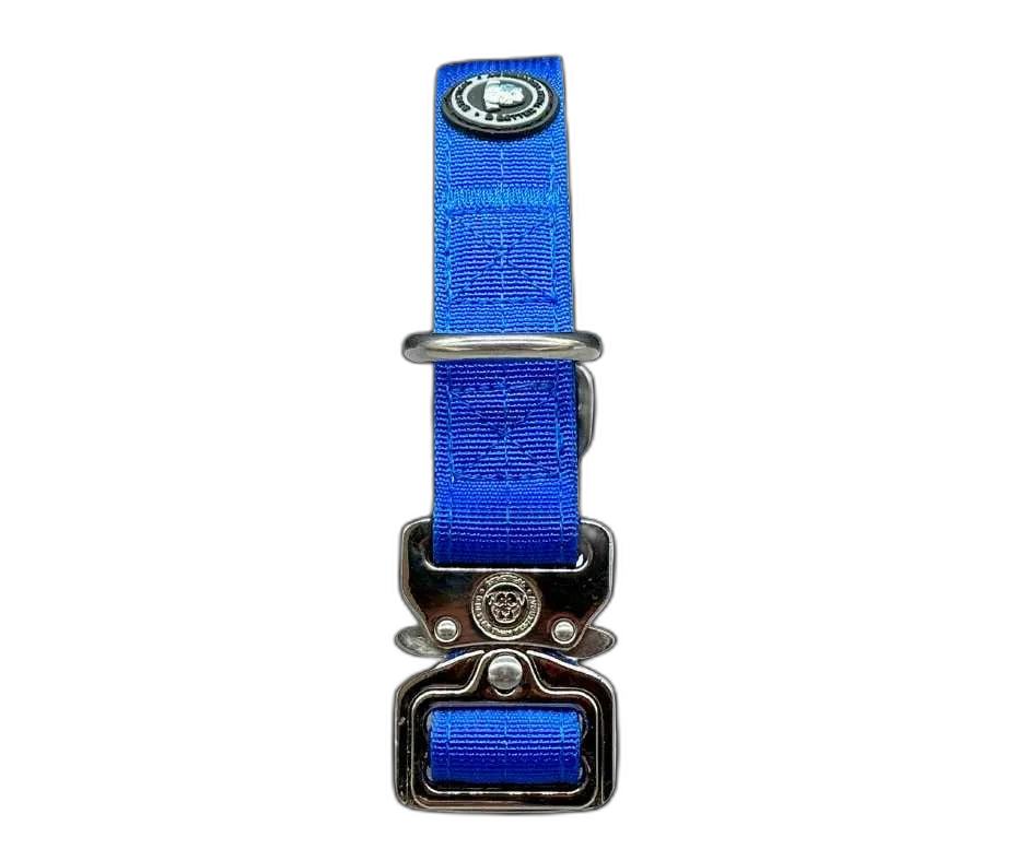 2.5cm Tactical Collar Blue