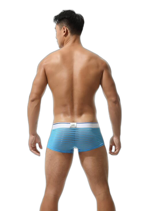 Men's Sexy Transparent Striped Trunks