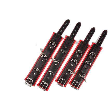 Full Access Bar Restraint System