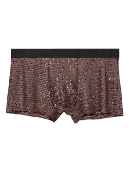 4 Pack Mesh Ice Silk Cool Fresh Men's Trunks