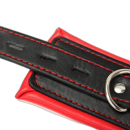 Full Access Bar Restraint System
